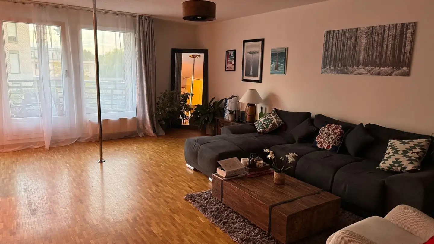 Appartamento in affitto - Chemin Des Plantaz 60, 1260 Nyon