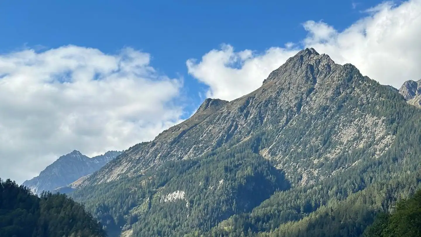 Single house for sale - 1937 Orsières - Photo 2