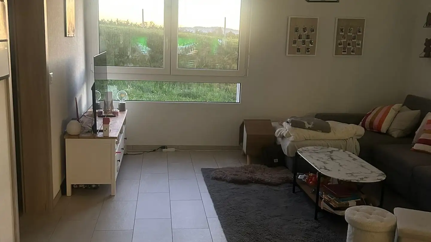 Wohnung mieten - 1563 Dompierre FR - Foto 4