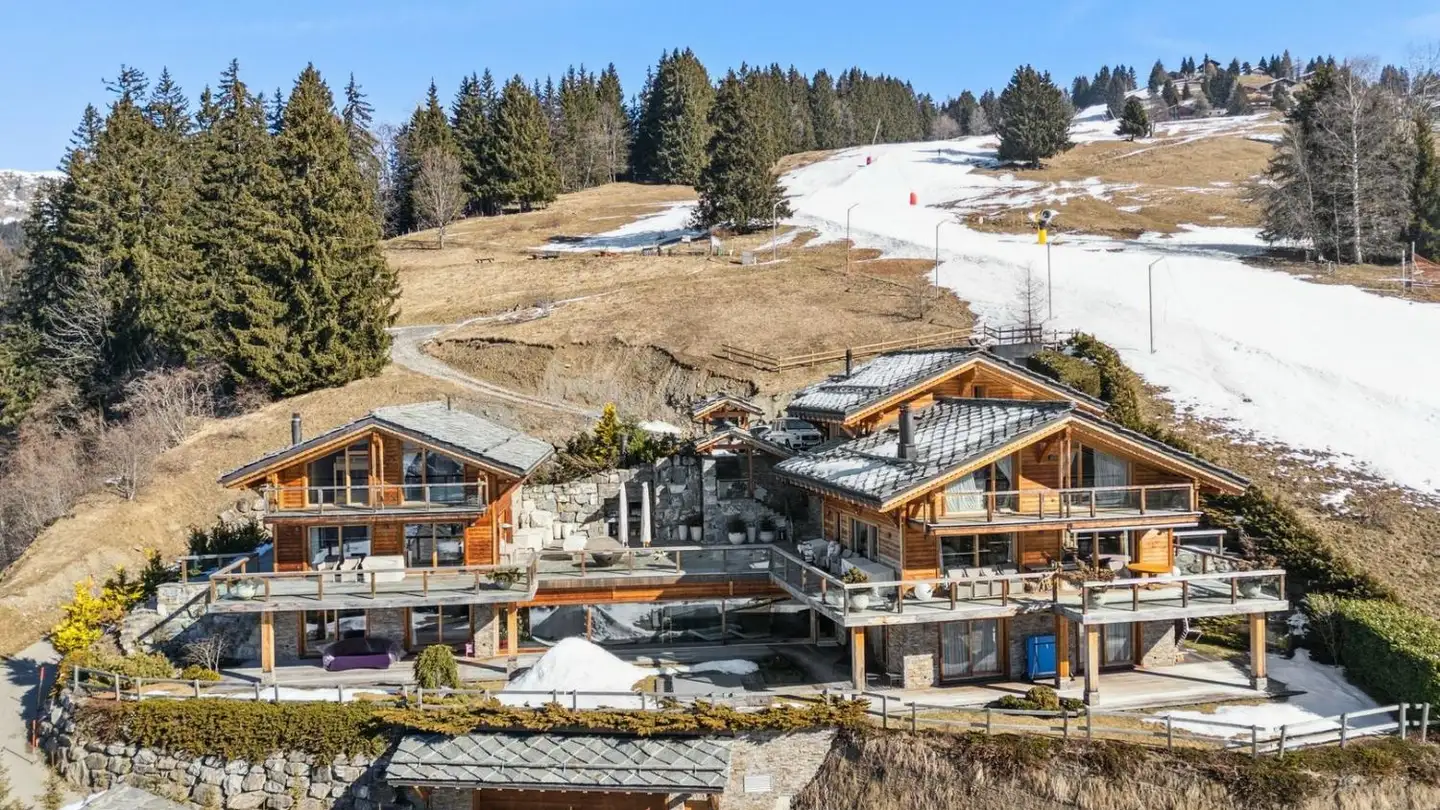 Chalet for sale - 1882 Gryon - Photo 2