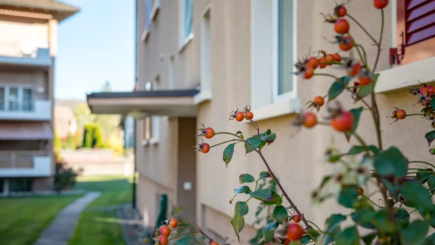 Appartamento in affitto - Ackerstrasse 6, 5330 Bad Zurzach - Photo 2