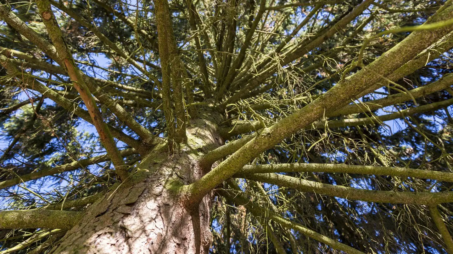 Appartamento in affitto - Ackerstrasse 6, 5330 Bad Zurzach - Photo 3