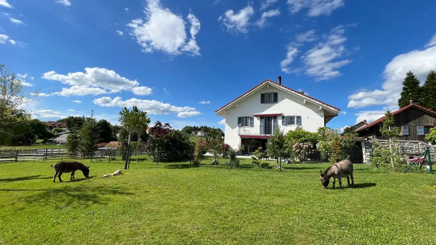 Mehrfamilienhaus kaufen - 1077 Servion - Foto 2