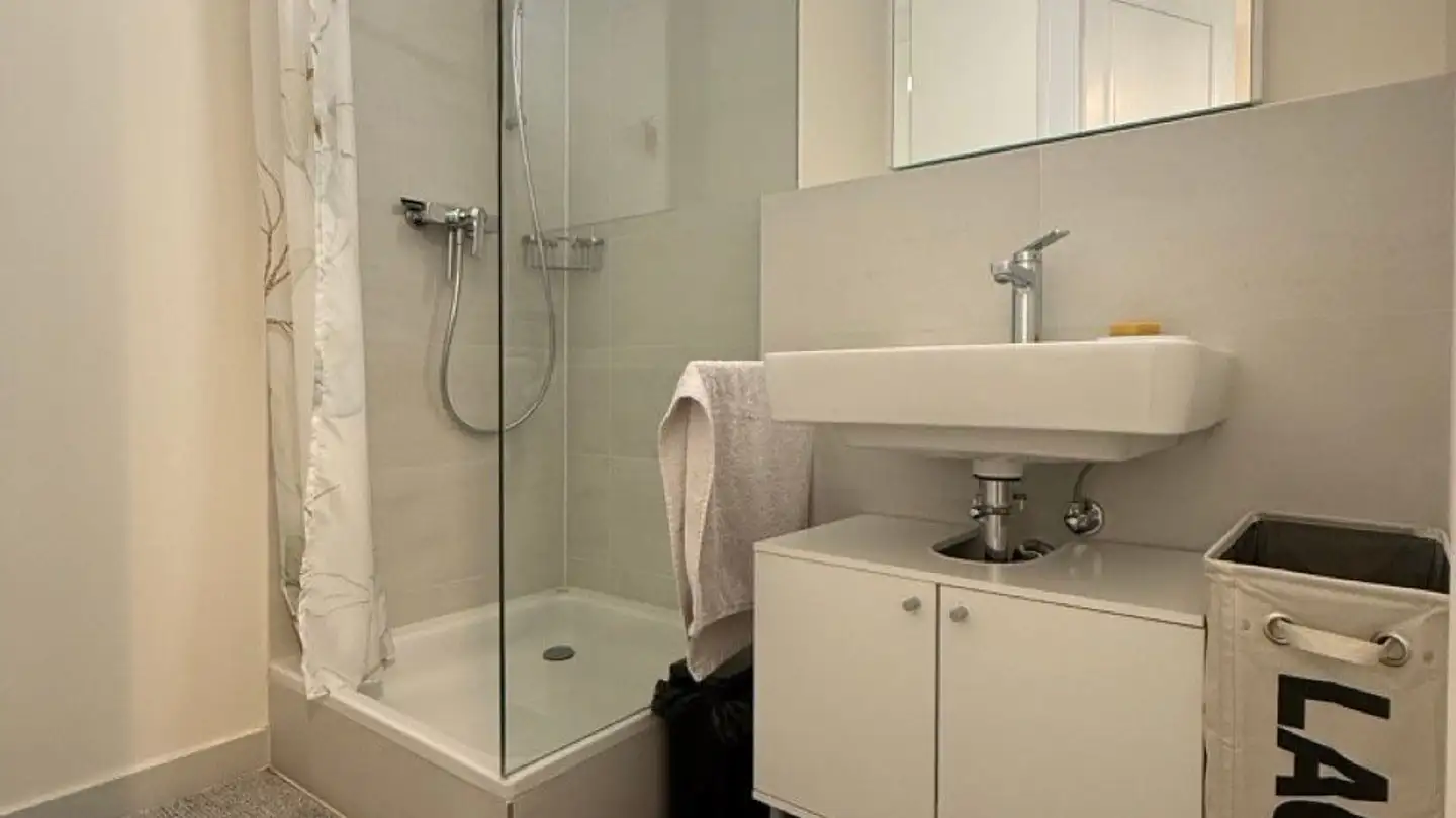 Appartamento ammobiliato in affitto - Rue De Carouge 87, 1205 Genève - Foto 4