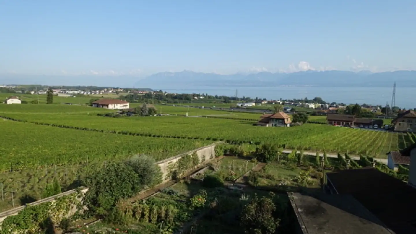 Appartamento in affitto - Route De La Versoix 13, 1185 Mont-sur-Rolle - Foto 4