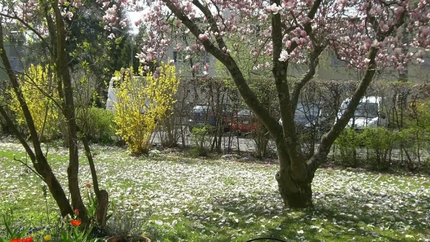 Apartment for rent - Käshaldenstrasse 11, 8052 Zürich