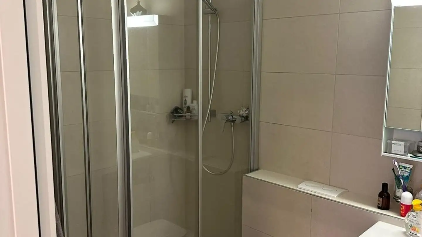 Apartment for rent - Via Lischedo 35, 6802 Rivera - Photo 4