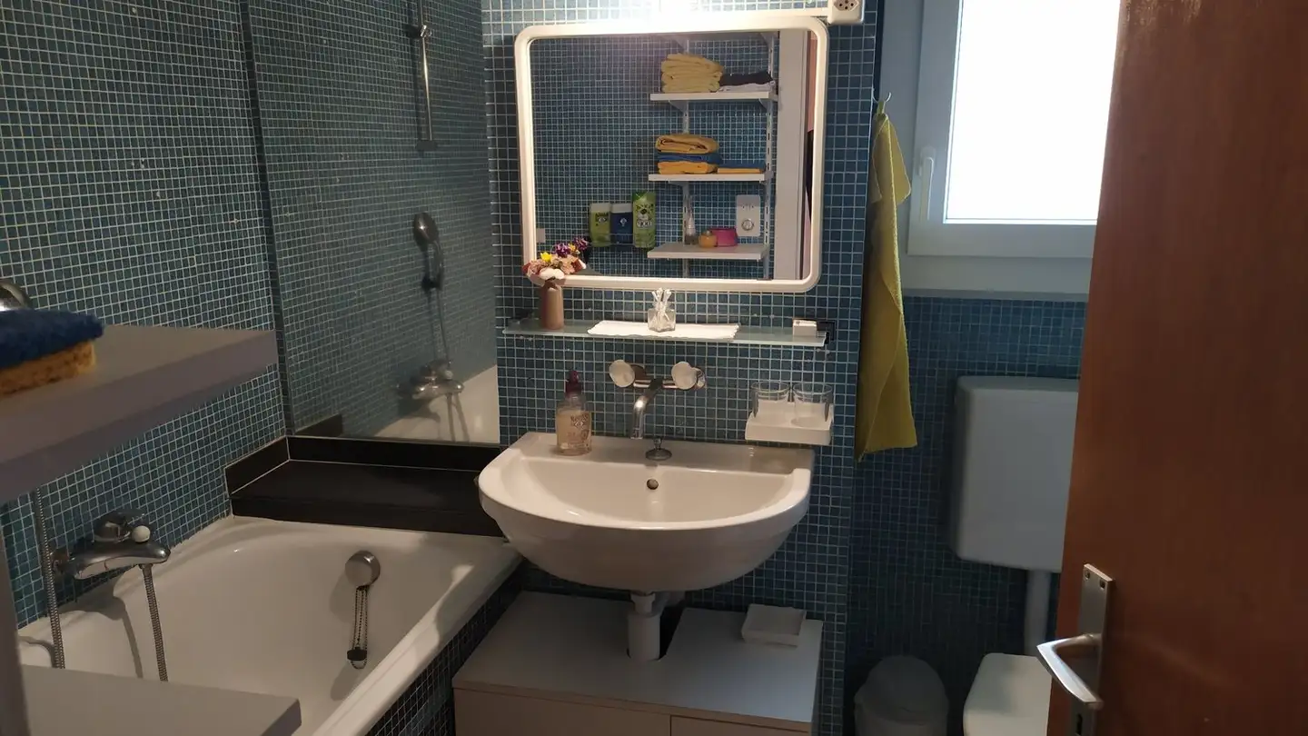 Single room for rent - Rue Des Fontanelles 5, 1552 Trey - Photo 4