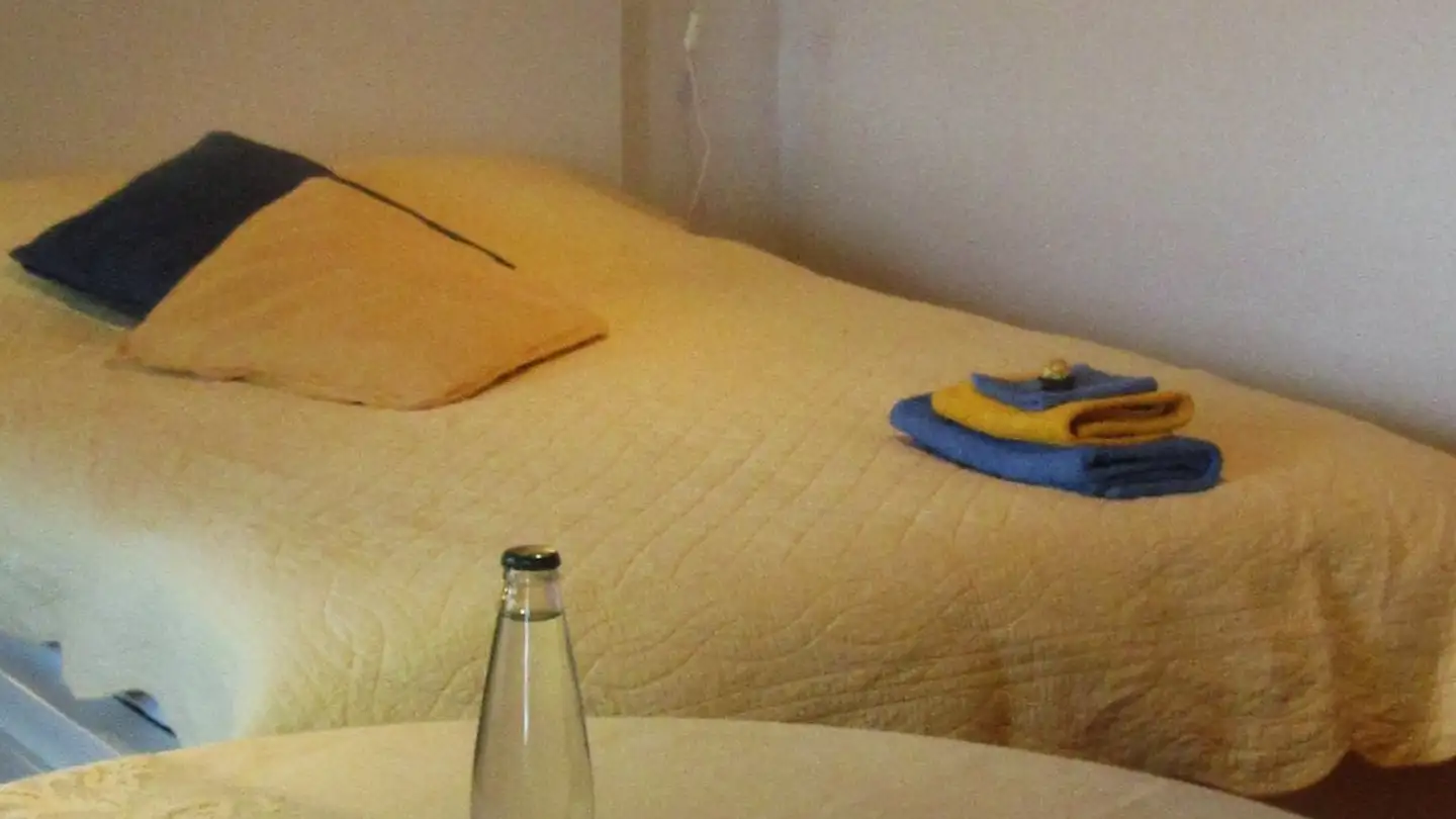 Single room for rent - Rue Des Fontanelles 5, 1552 Trey - Photo 2