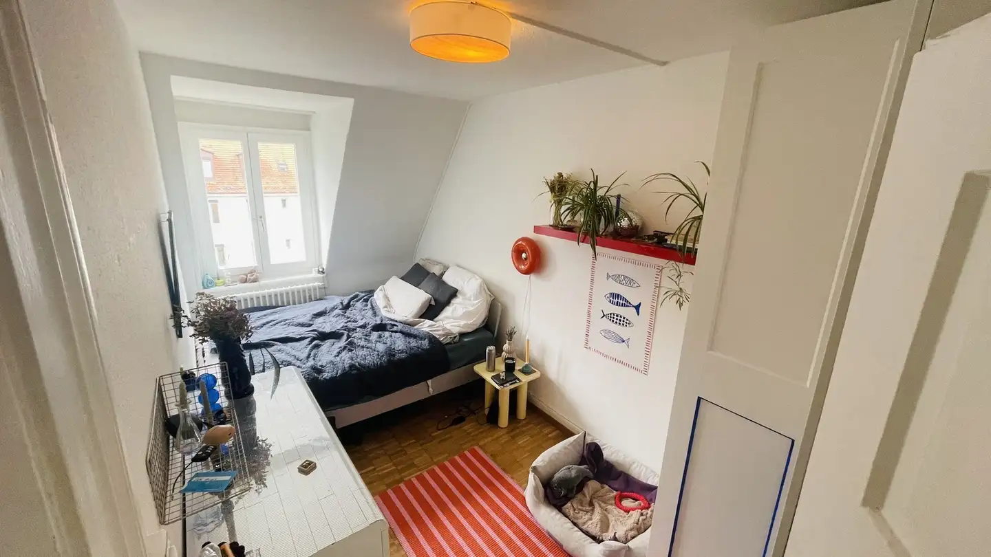 Stanza singola in affitto - Dienerstrasse 79, 8004 Zürich