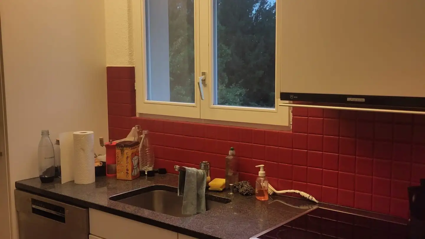 Wohnung mieten - 8500 Frauenfeld