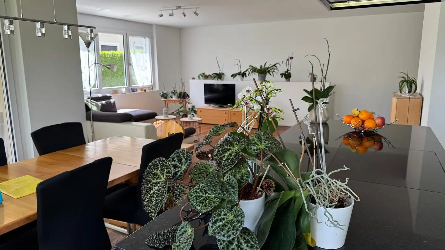Appartamento in affitto - Florahof 9, 8353 Elgg - Foto 4