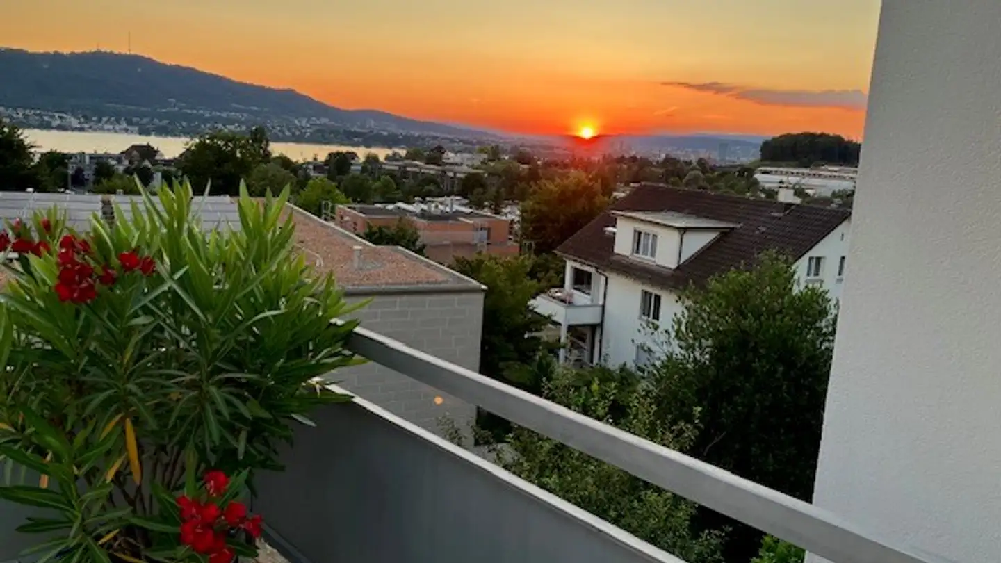 Duplex à louer - Wybüelstrasse, 8702 Zollikon