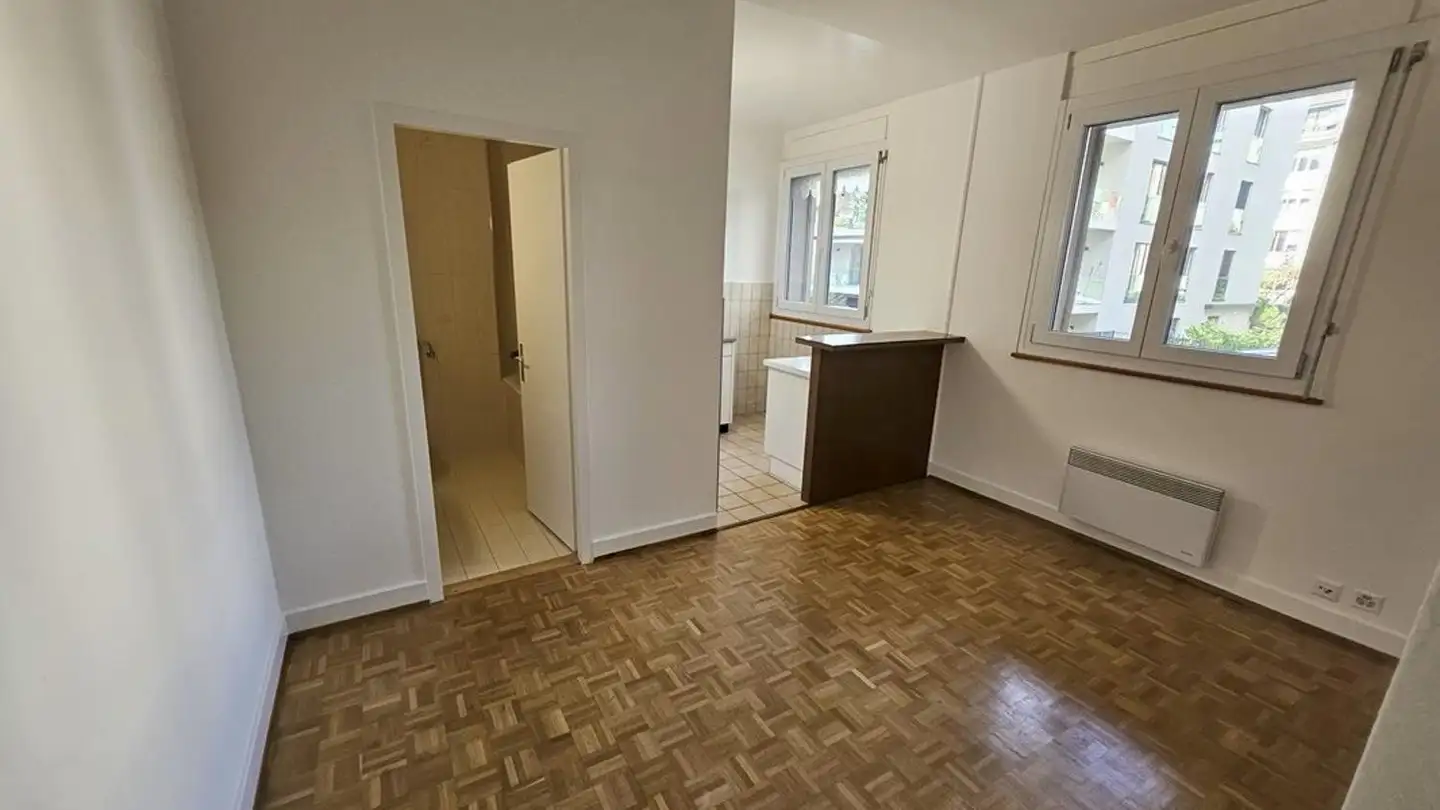 Studio in affitto - Avenue Dumas, 1206 Genève - Photo 3