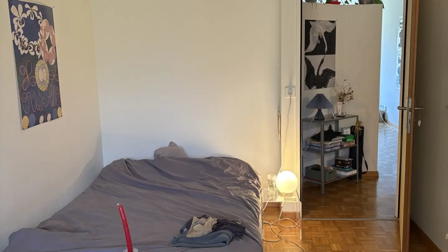 Single room for rent - Schwandenholzstrasse 212, 8046 Zürich