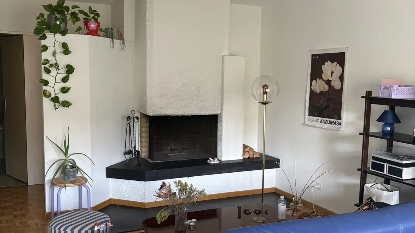 Single room for rent - Schwandenholzstrasse 212, 8046 Zürich - Photo 2