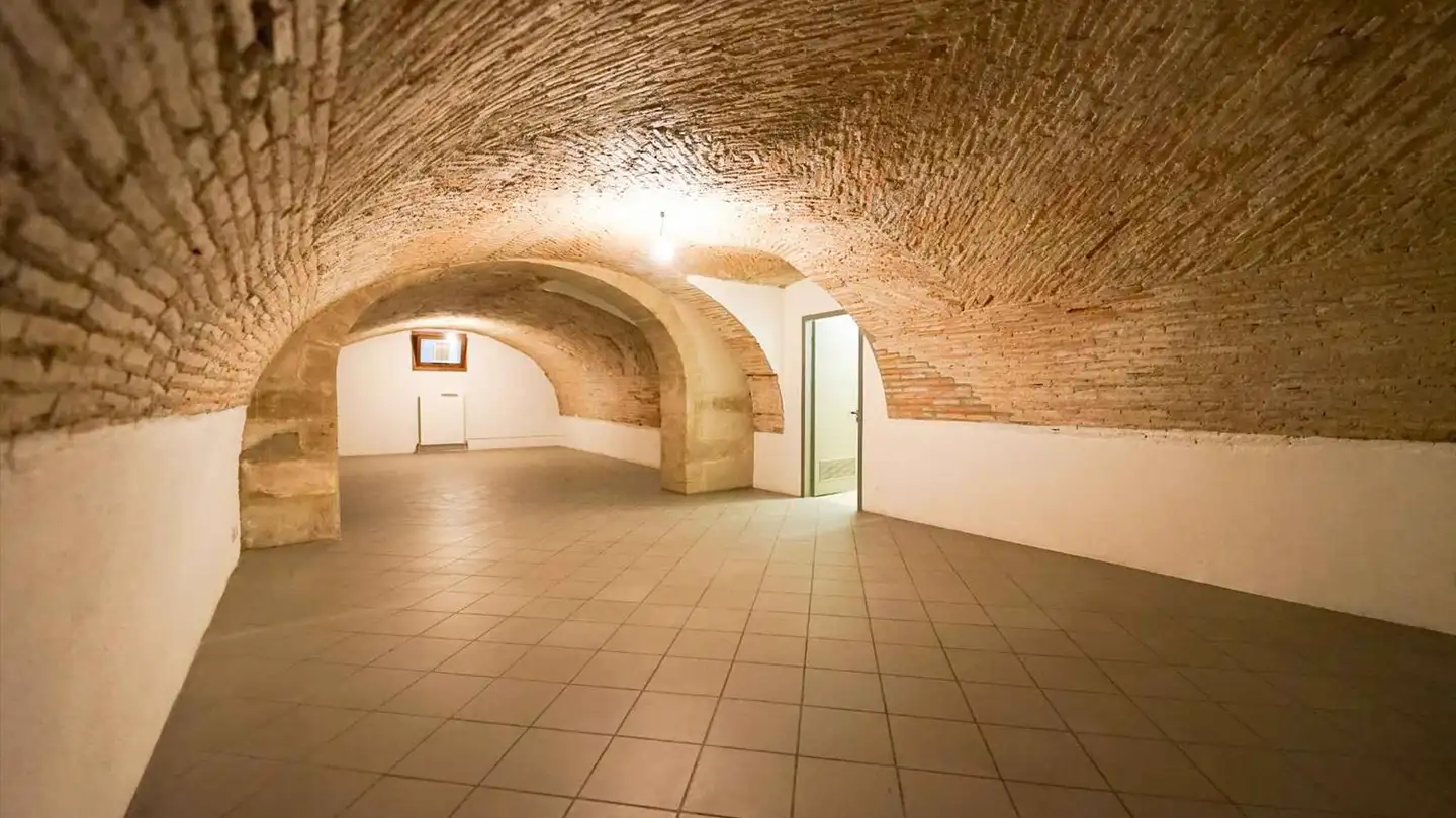 Arcade for rent - Rue Ancienne 47, 1227 Carouge GE - Photo 4