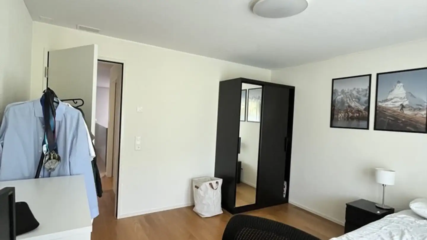 Chambre à louer - Wiesenstrasse 14b, 8952 Schlieren - Photo 2