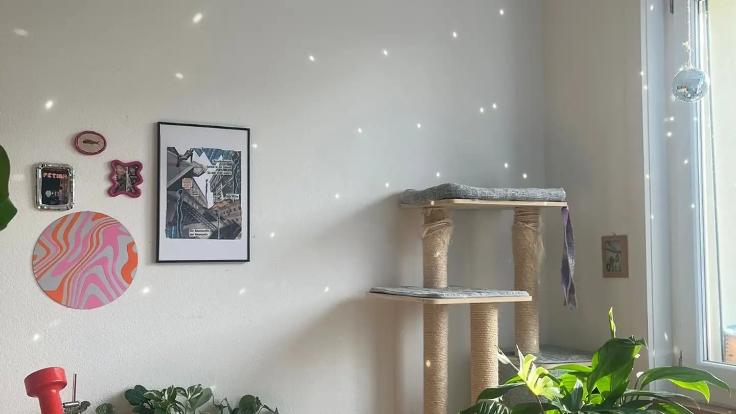 Single room for rent - 3006 Bern