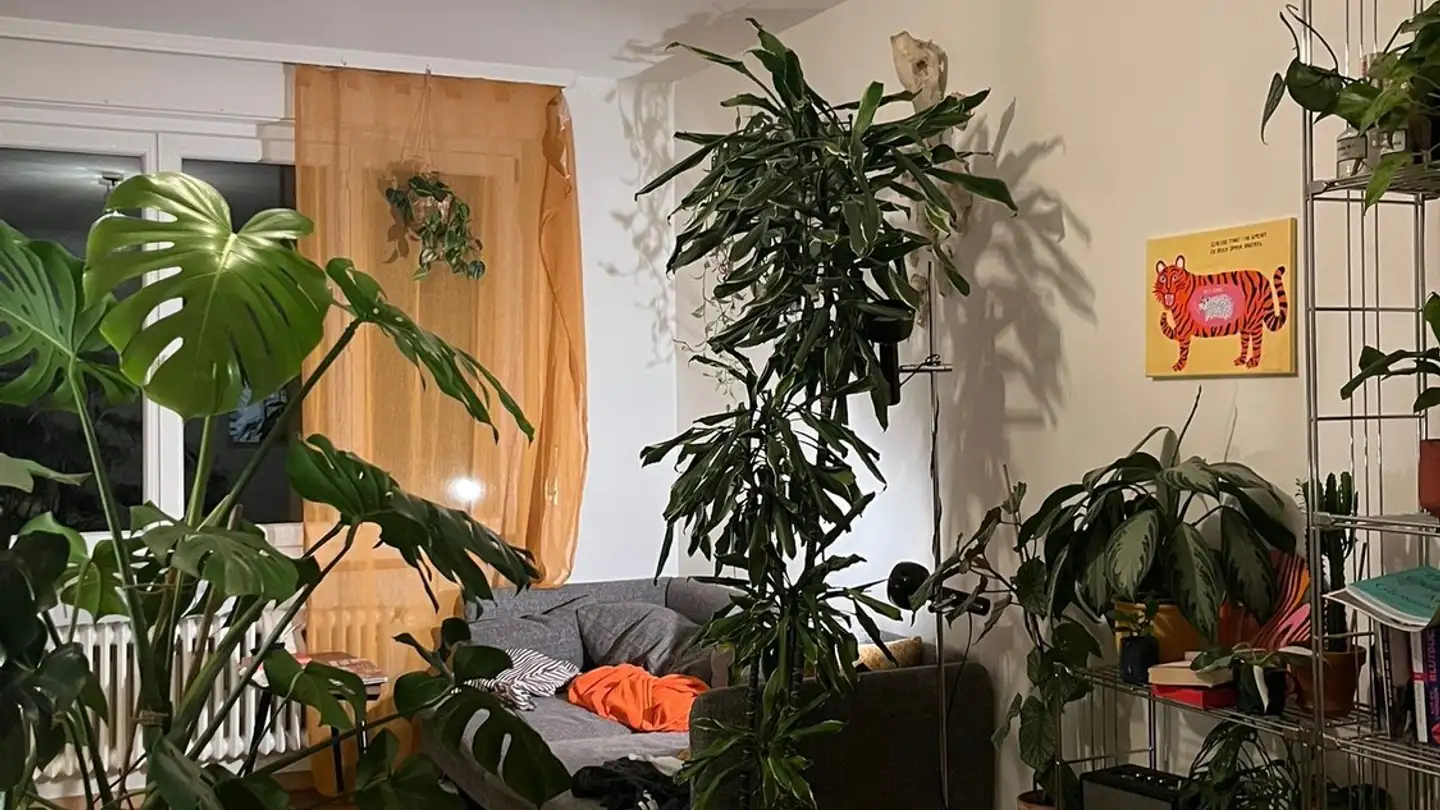 Single room for rent - 3006 Bern - Photo 3