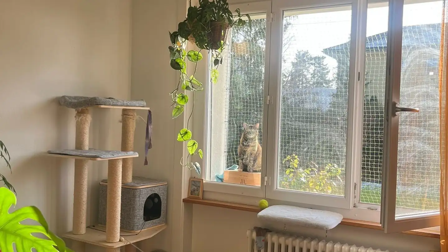 Single room for rent - 3006 Bern - Photo 4