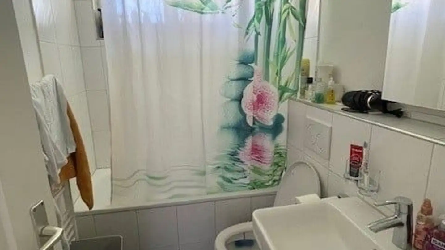 Appartamento in affitto - Hangstrasse 4, 5417 Untersiggenthal - Foto 4