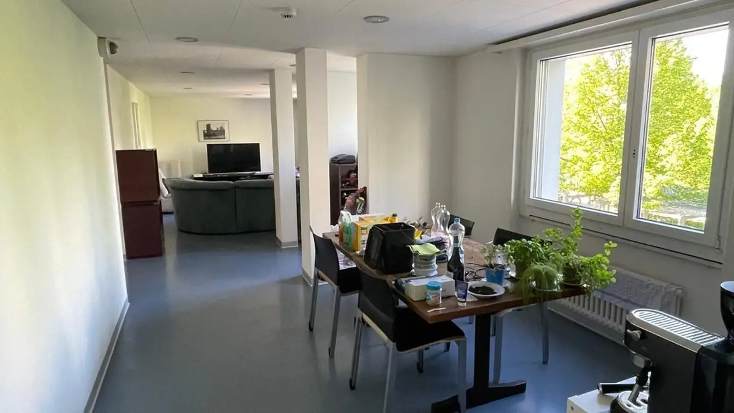 Single room for rent - Eduard-Steiner-Strasse 7, 8400 Winterthur