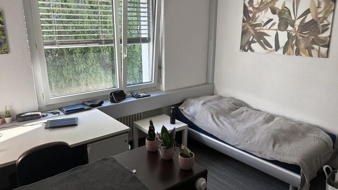 Single room for rent - Eduard-Steiner-Strasse 7, 8400 Winterthur - Photo 2