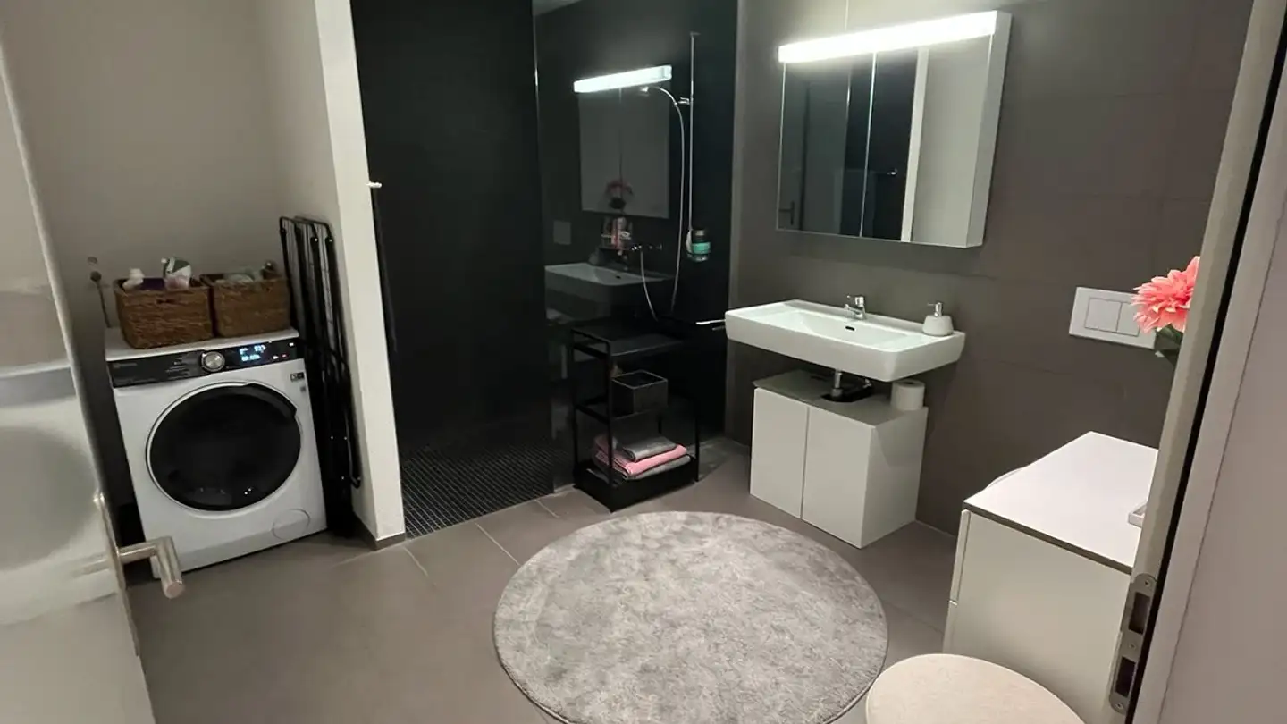 Appartamento in affitto - 5600 Lenzburg