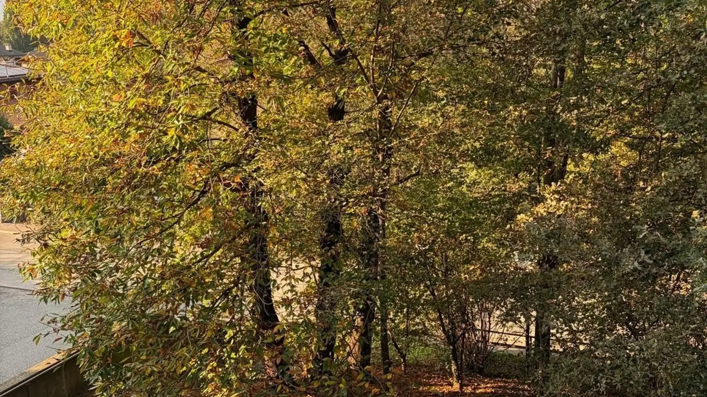 Appartamento in affitto - Via Carolina Maraini-Sommaruga 30, 6900 Lugano - Foto 2