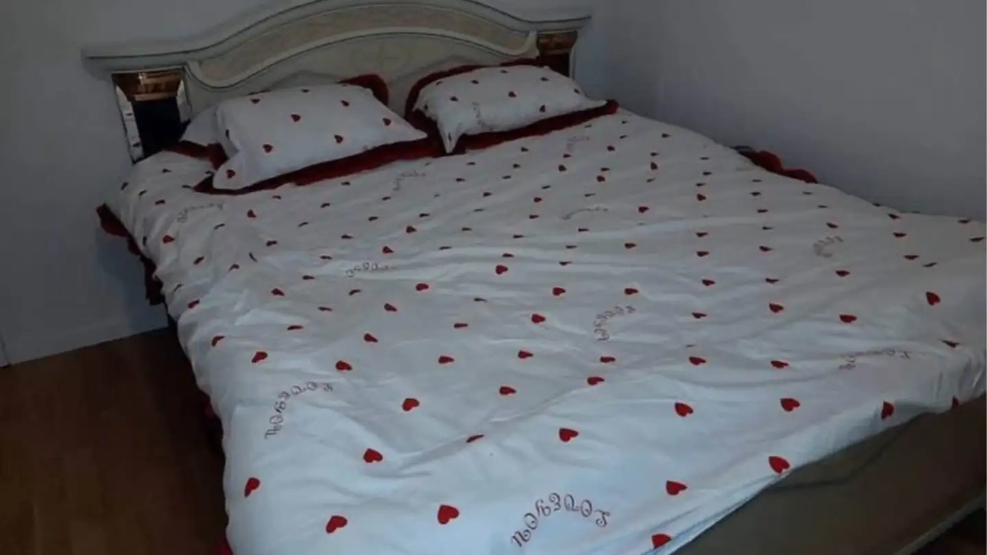 Appartamento in affitto - Avenue Du Grey 22, 1004 Lausanne