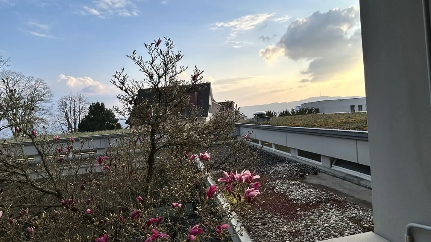 Wohnung mieten - Forsterstrasse 48, 8044 Zürich - Foto 3