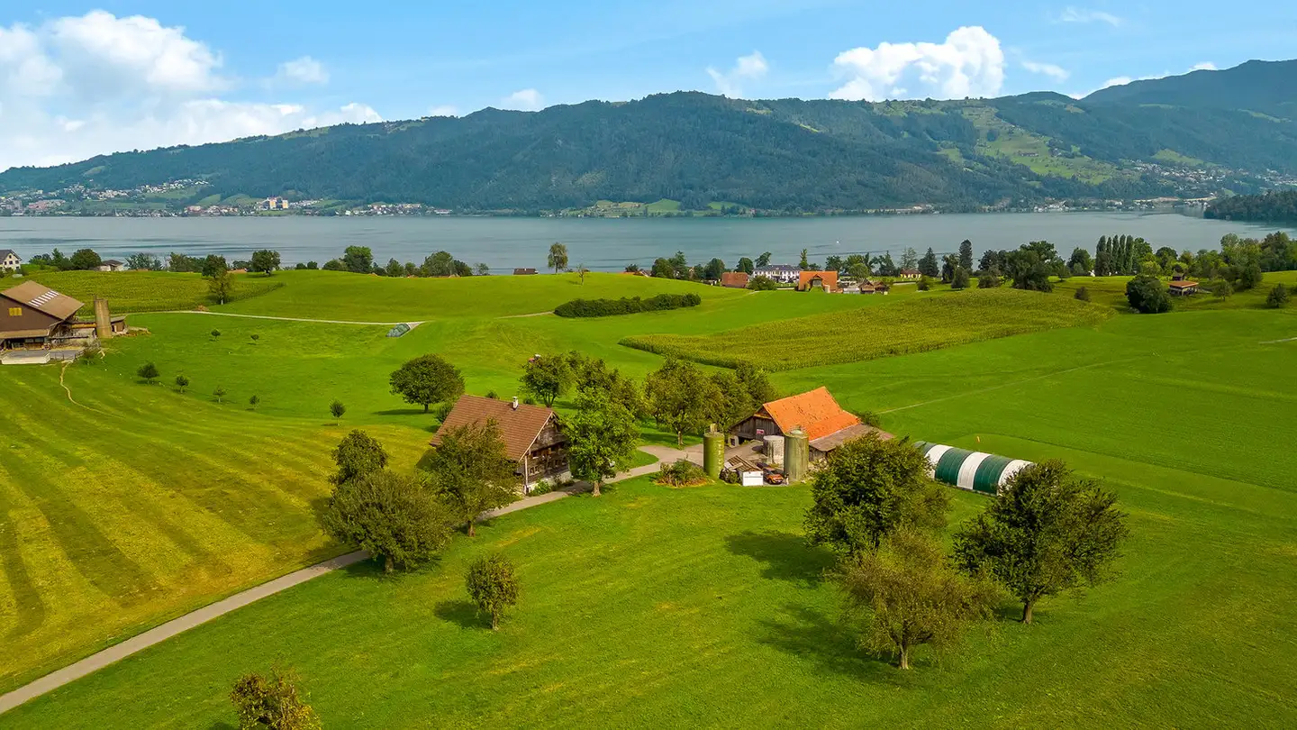 Single house for sale - 6343 Rotkreuz - Photo 3