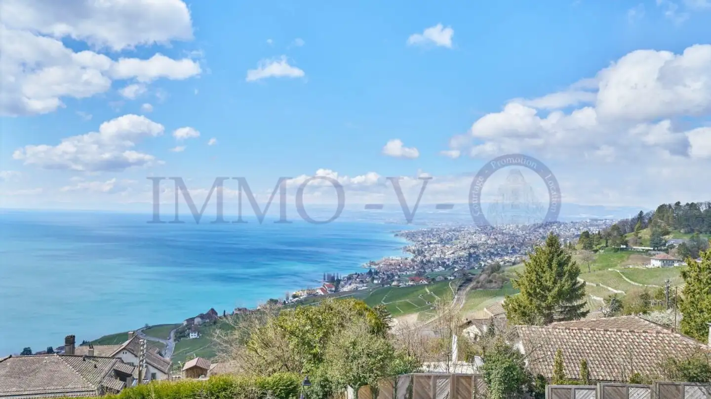 Wohnung mieten - 1091 Grandvaux - Foto 3