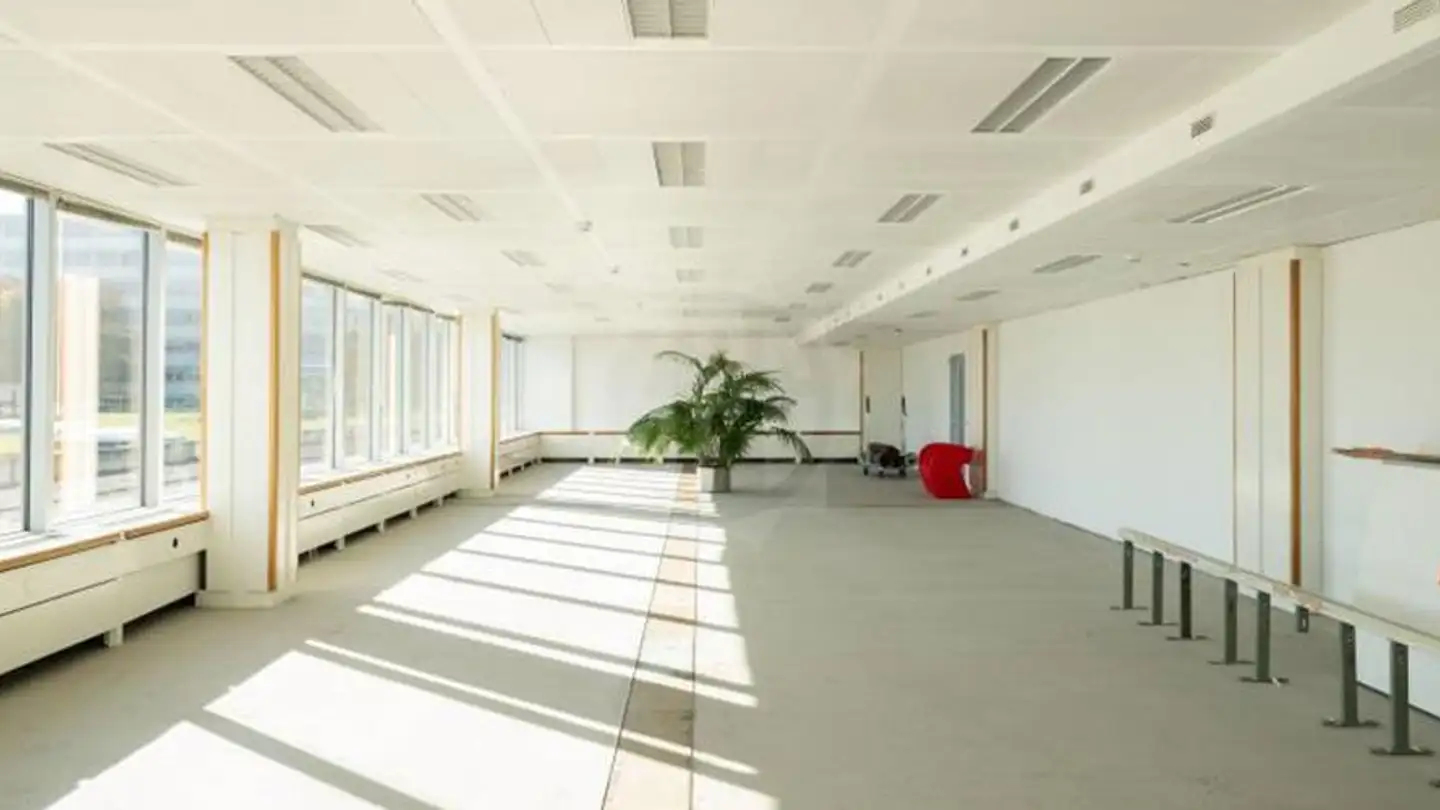 Bureau à louer - Chemin Des Coquelicots 16, 1214 Vernier