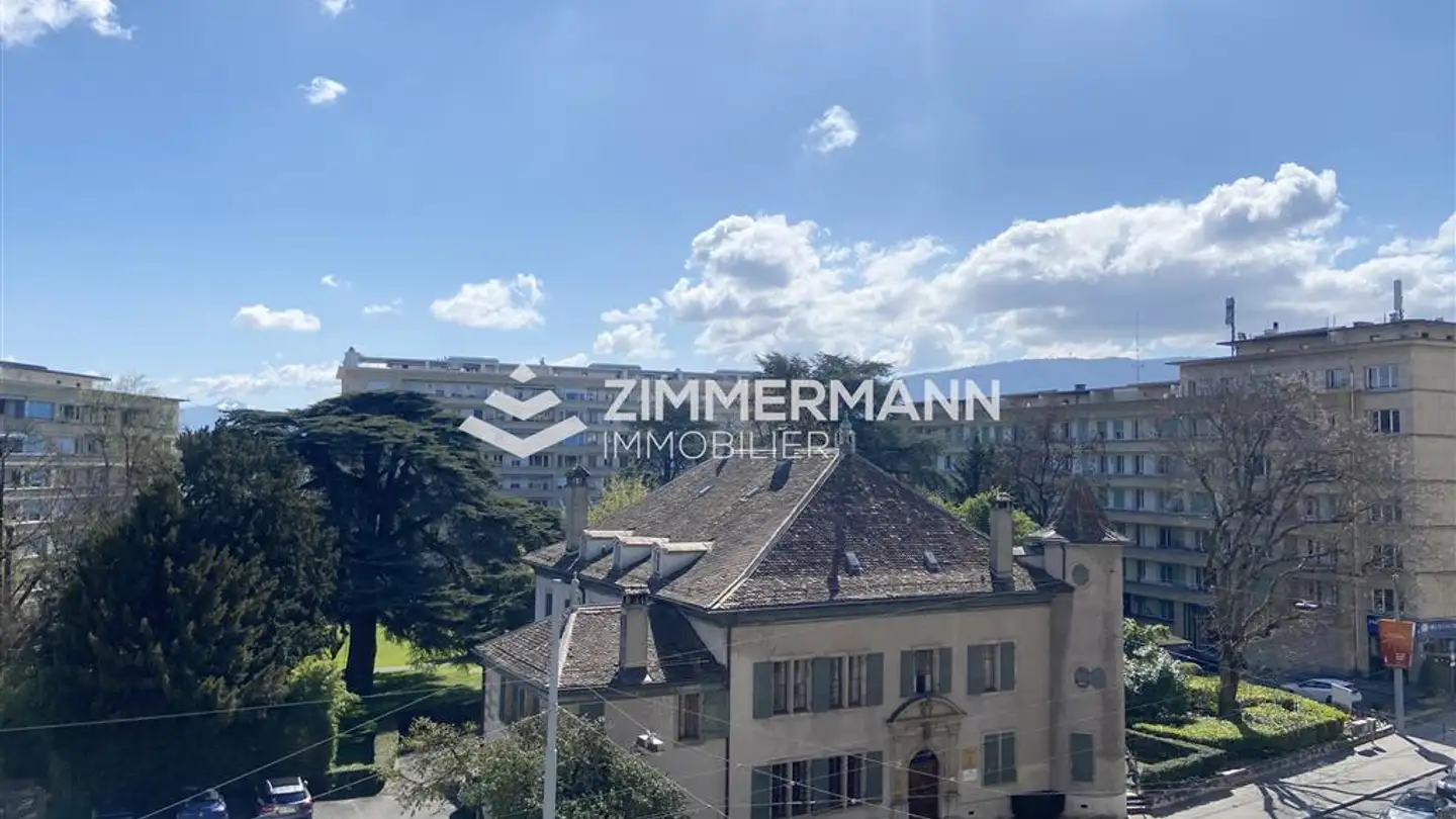 Appartement à louer - Rue De Lausanne, 1202 Genève - Photo 3