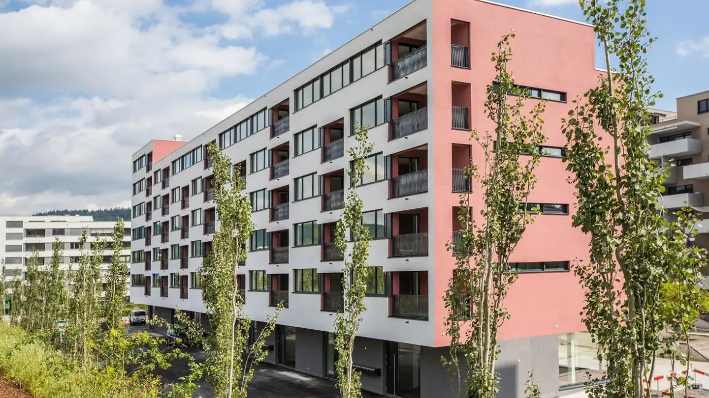 Appartement à louer - Wiesenstrasse 3a, 8952 Schlieren