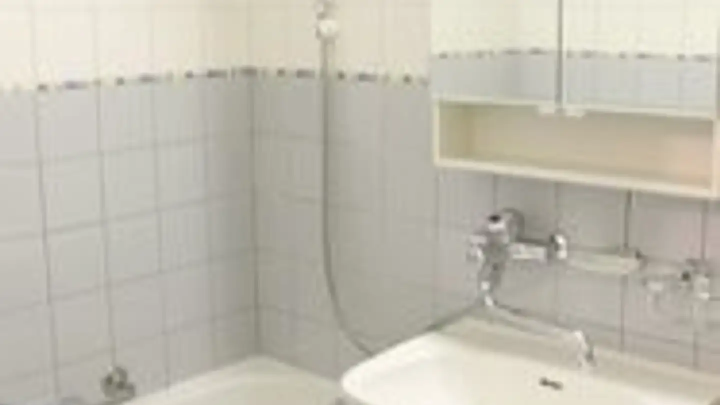 Appartamento in affitto - Guggenbühlstrasse 137, 8404 Winterthur - Foto 4