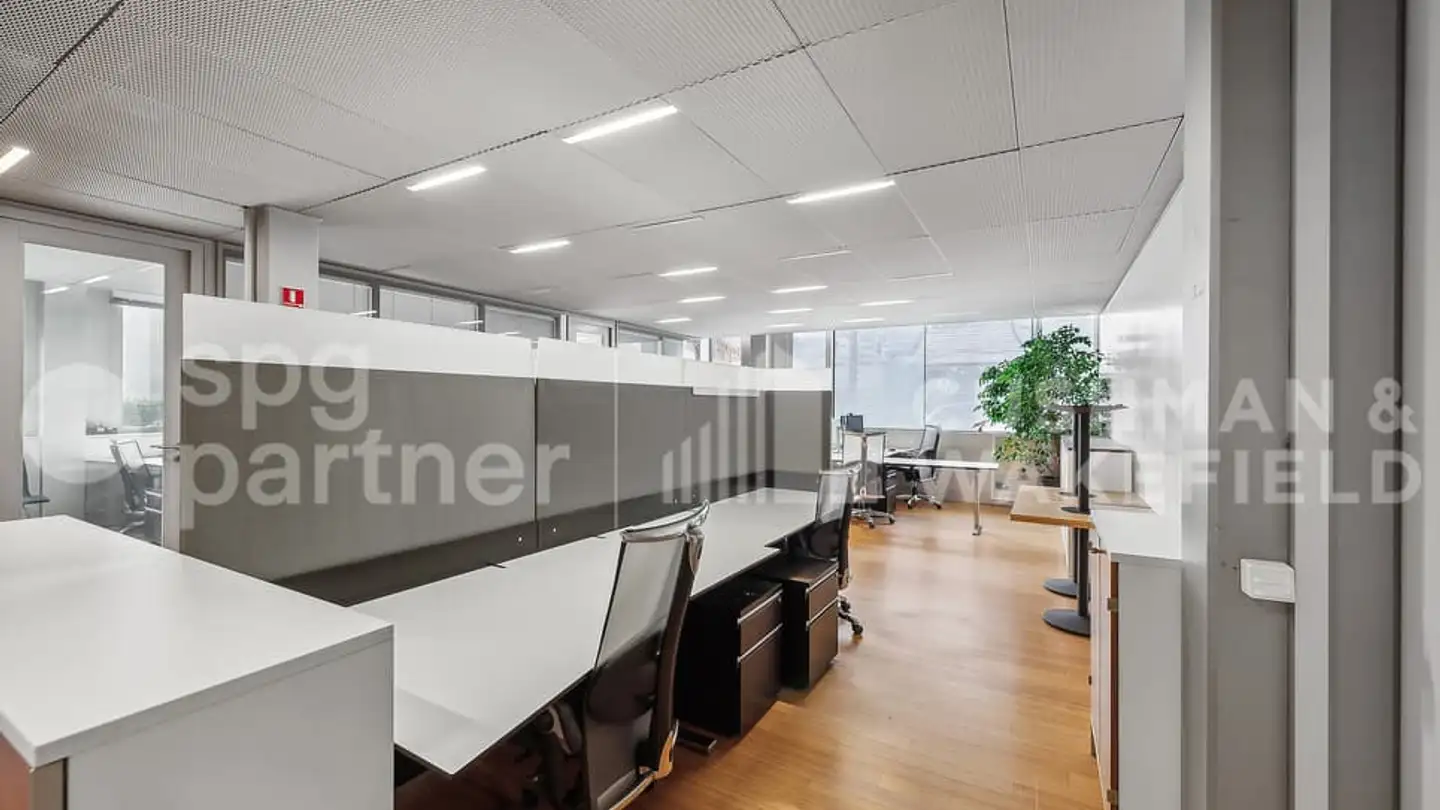 Commerciale in affitto - Chemin De La Pallanterie 5, 1222 Vésenaz - Photo 3