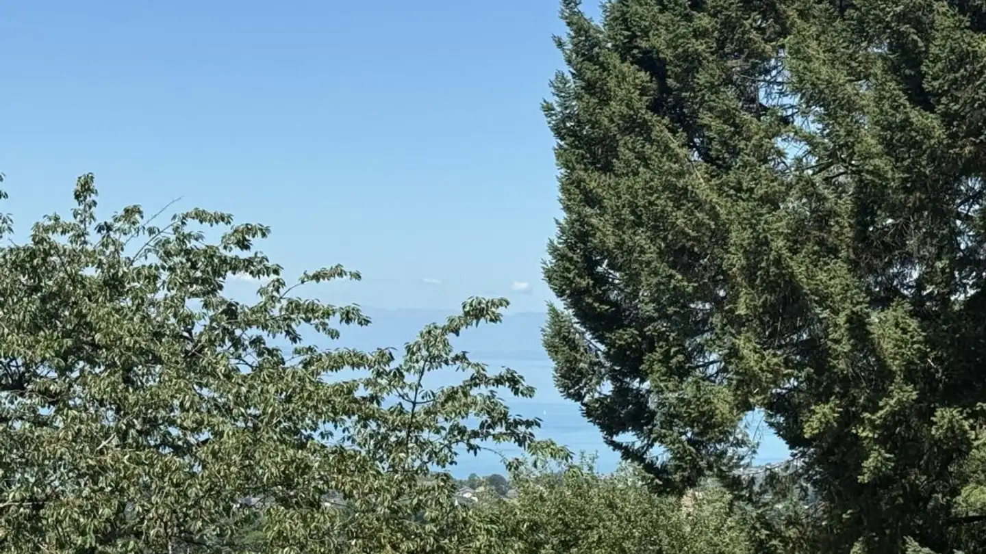 Terreno edificabile in vendita - 1807 Blonay - Foto 4