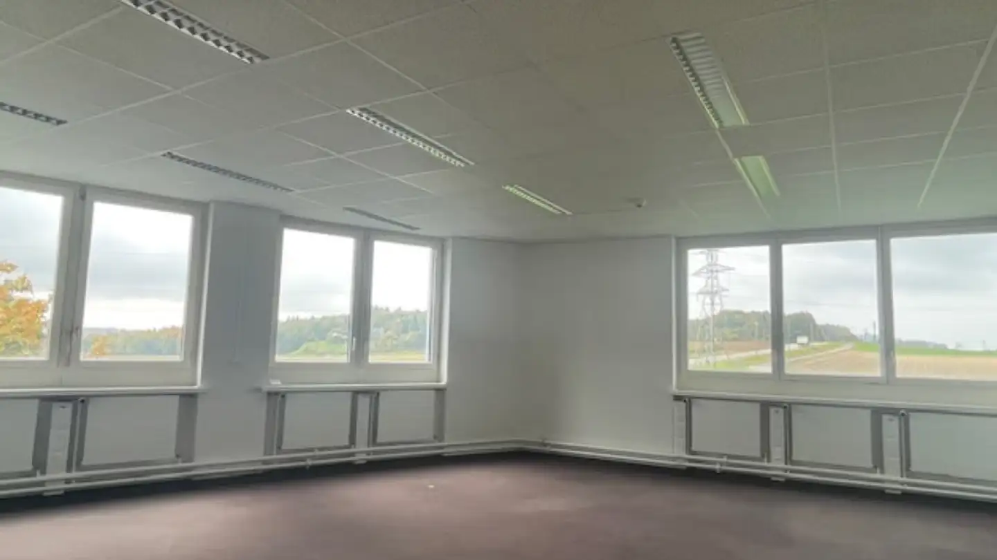 Commercial à louer - Murtenstrasse 116, 3202 Frauenkappelen - Photo 2
