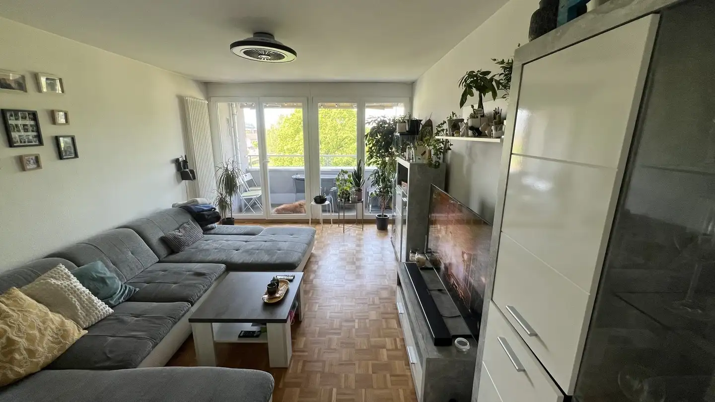 Appartamento in affitto - Hallwilstrasse 24, 5600 Lenzburg