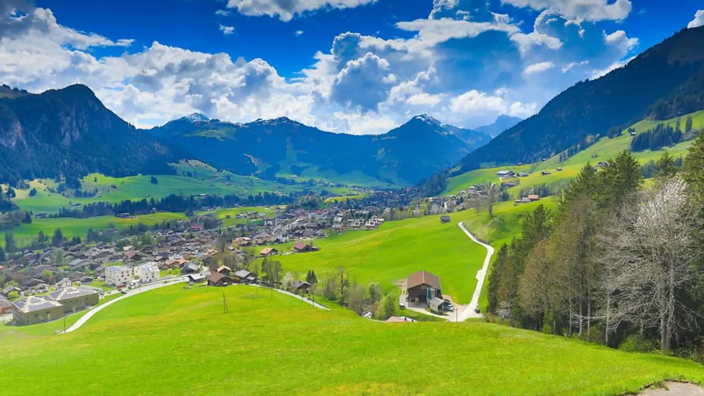 Maison individuelle à vendre - 1660 Château-d'Oex - Photo 3