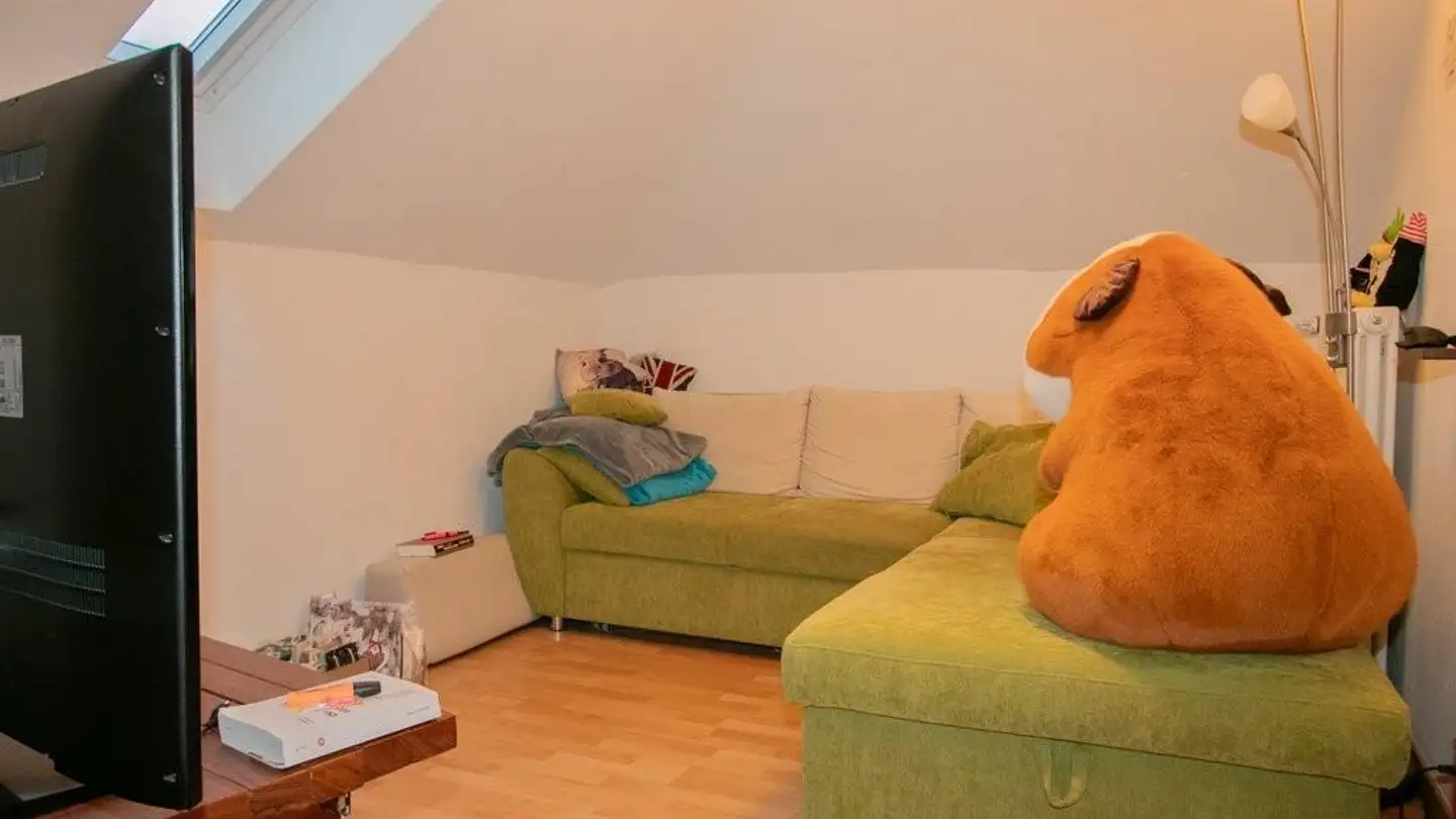 Wohnung mieten - Löwenstrasse 14, 9400 Rorschach - Foto 2