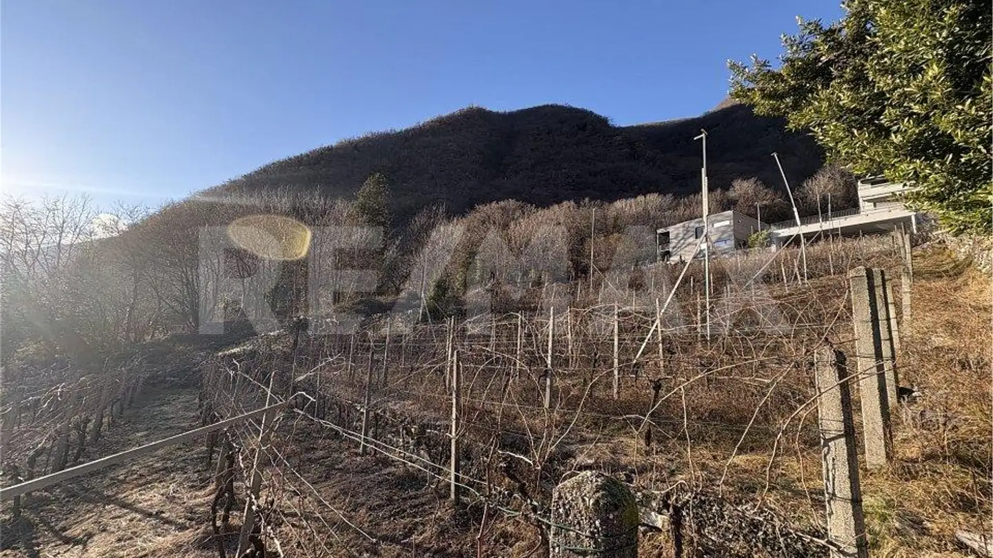 Wohnung kaufen - 6533 Lumino