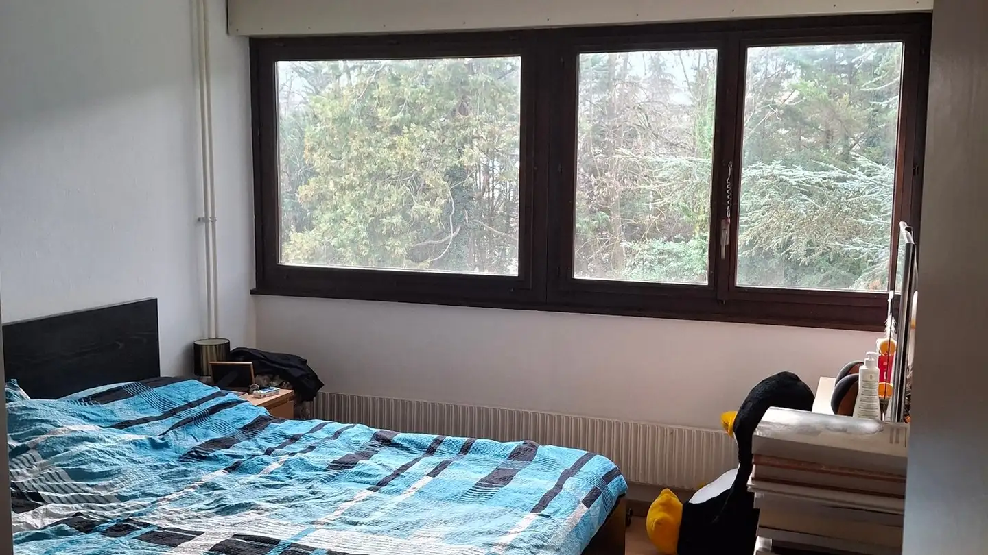 Apartment for rent - Chemin D' Archamps 31, 1257 La Croix-de-Rozon - Photo 4