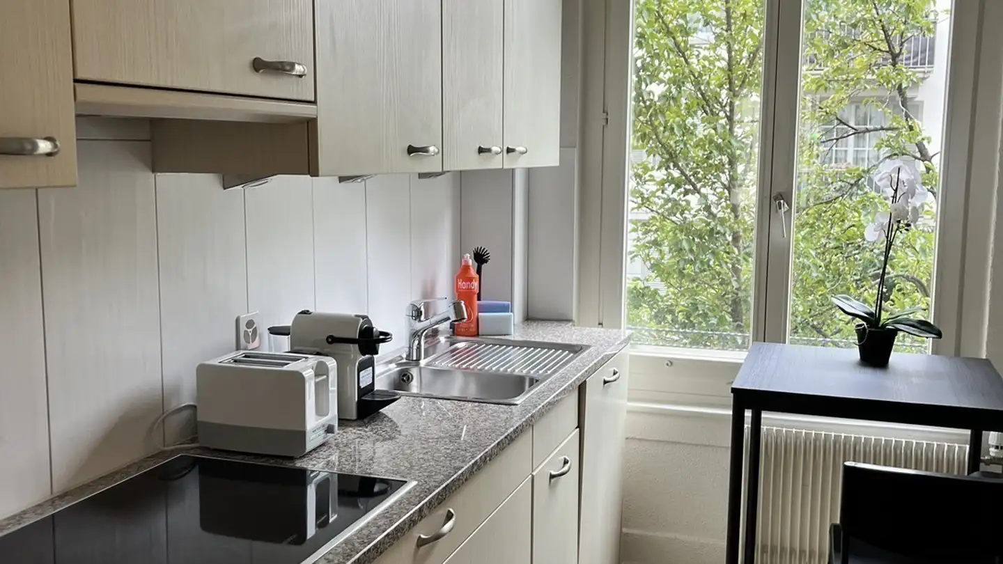 Single room for rent - Badenerstrasse 287, 8003 Zürich - Photo 2