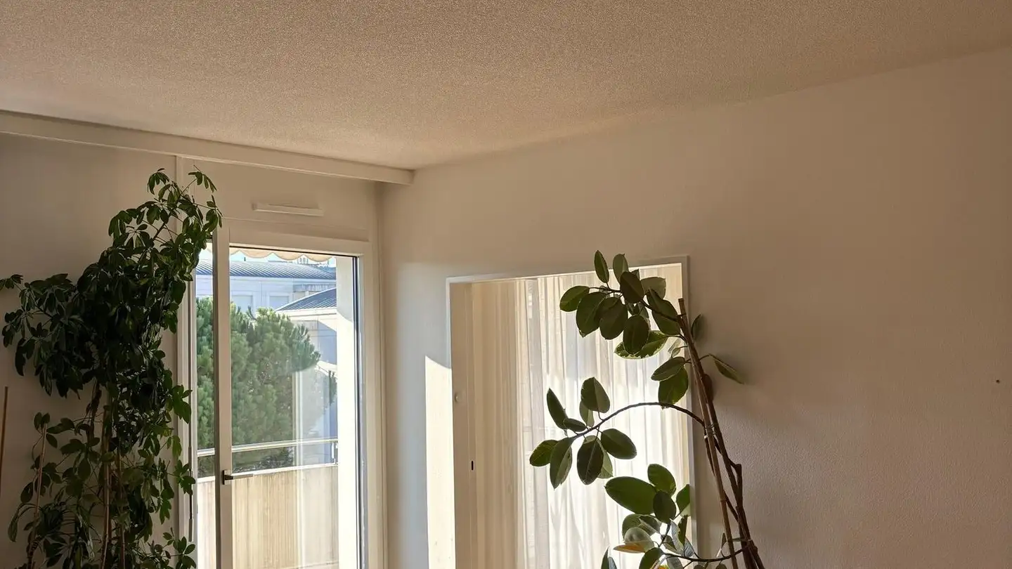 Appartement à louer - 1228 Plan-les-Ouates - Photo 4