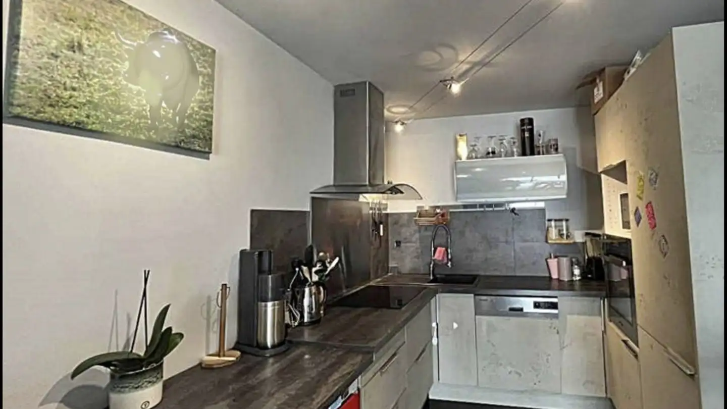 Single room for rent - 1981 Vex - Photo 2