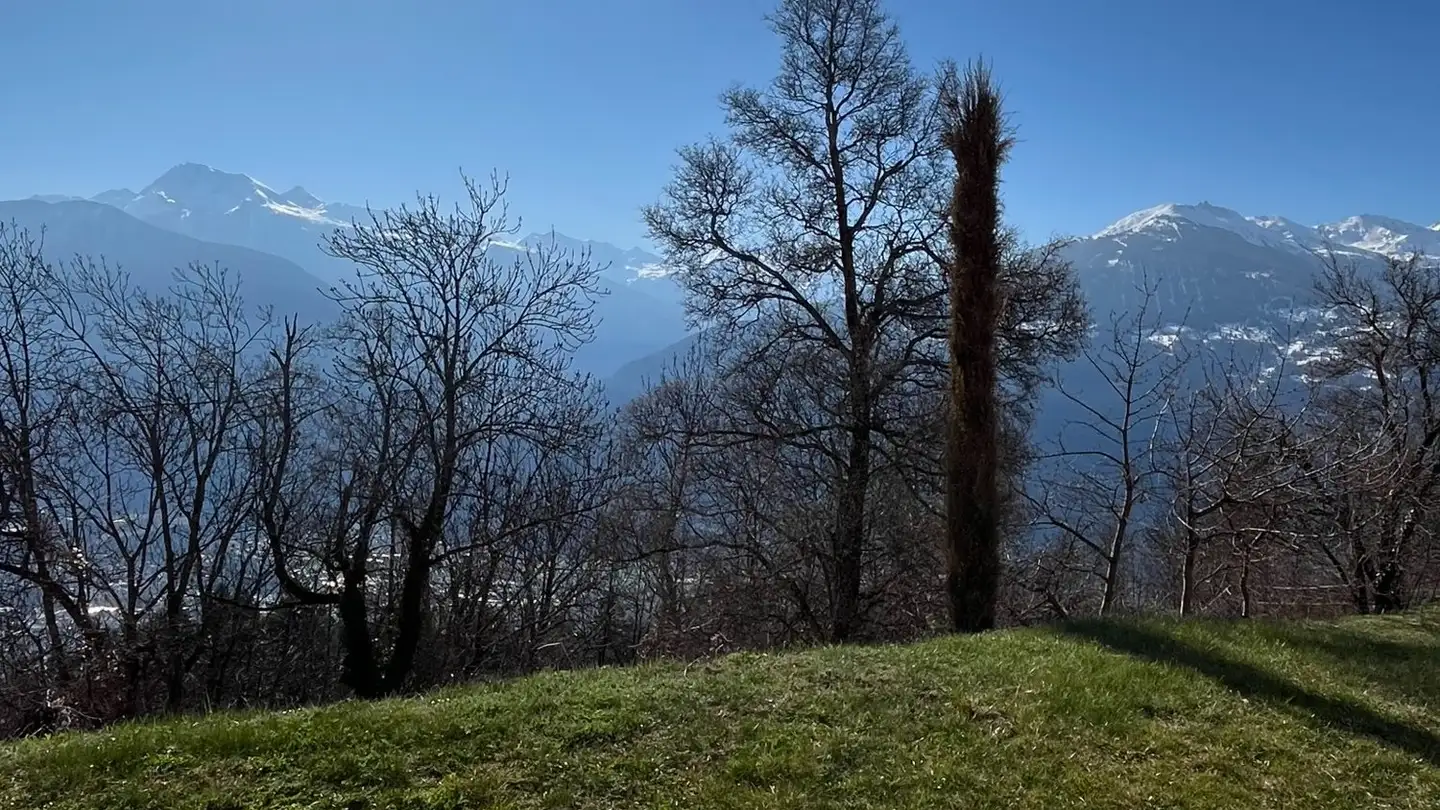 Appartamento in affitto - 3963 Montana - Foto 4